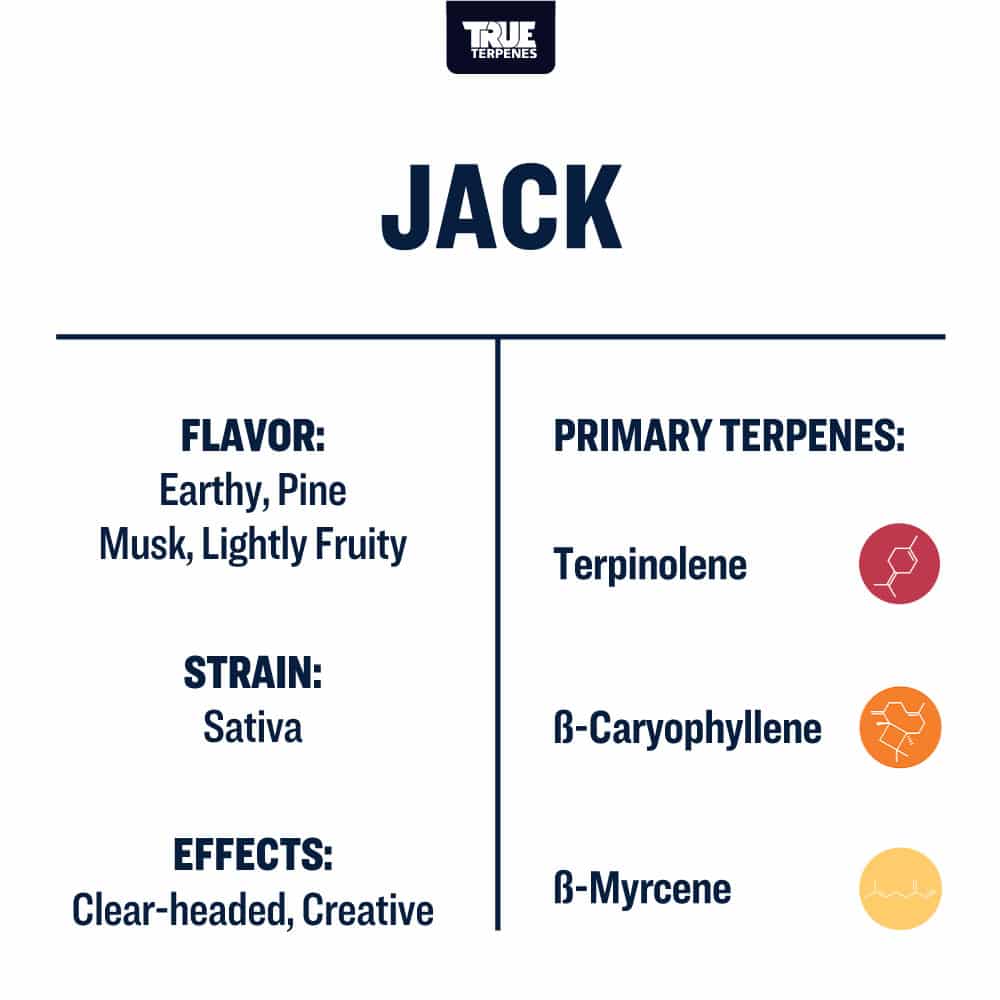 Jack Live Resin