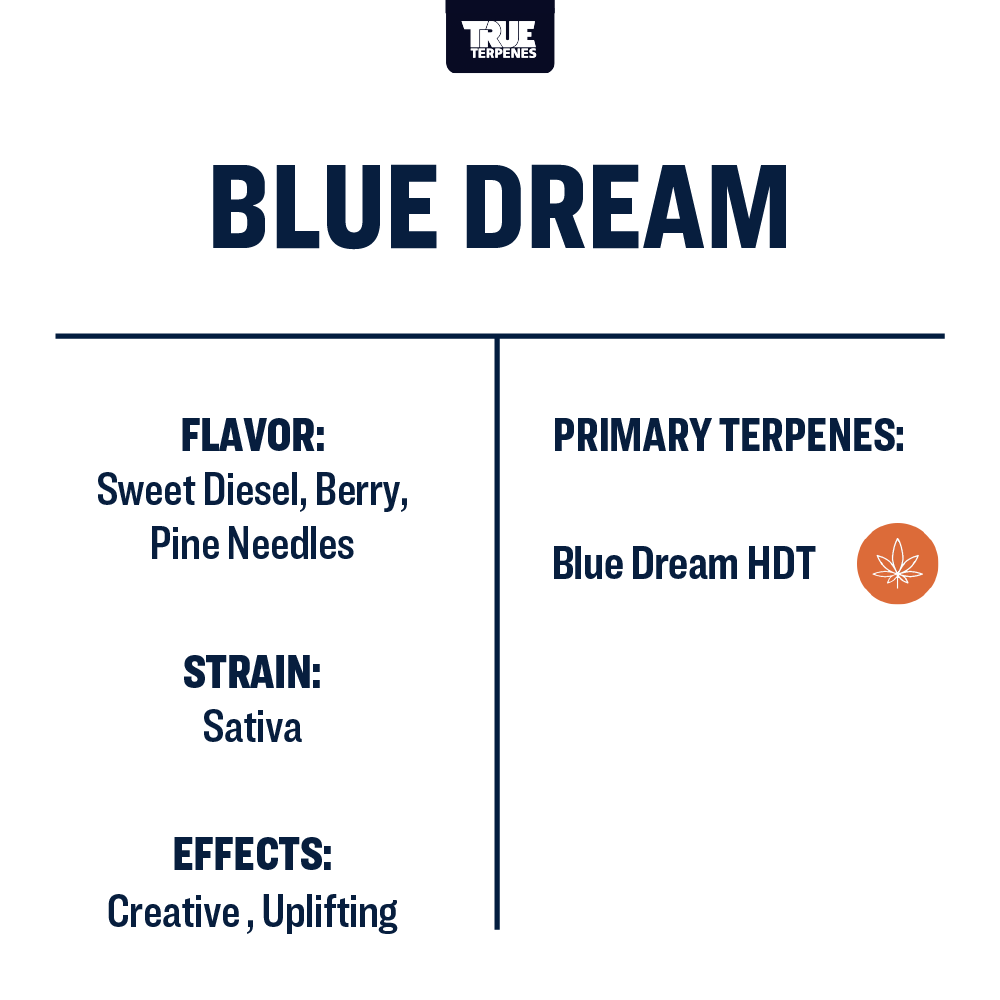 Brue Dream Live Resin