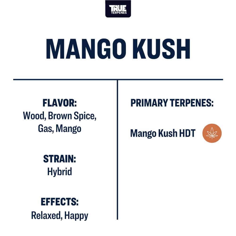 Mango Kush Live resin